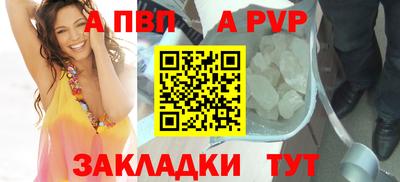 стаф Кинель