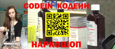 apvp Кингисепп