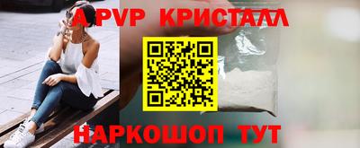 apvp Кингисепп