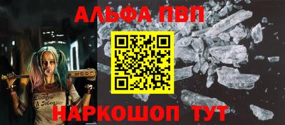 стаф Кинель