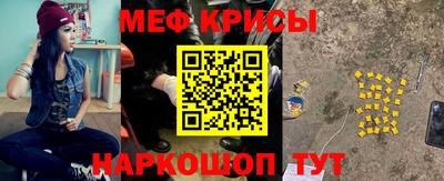 apvp Кингисепп